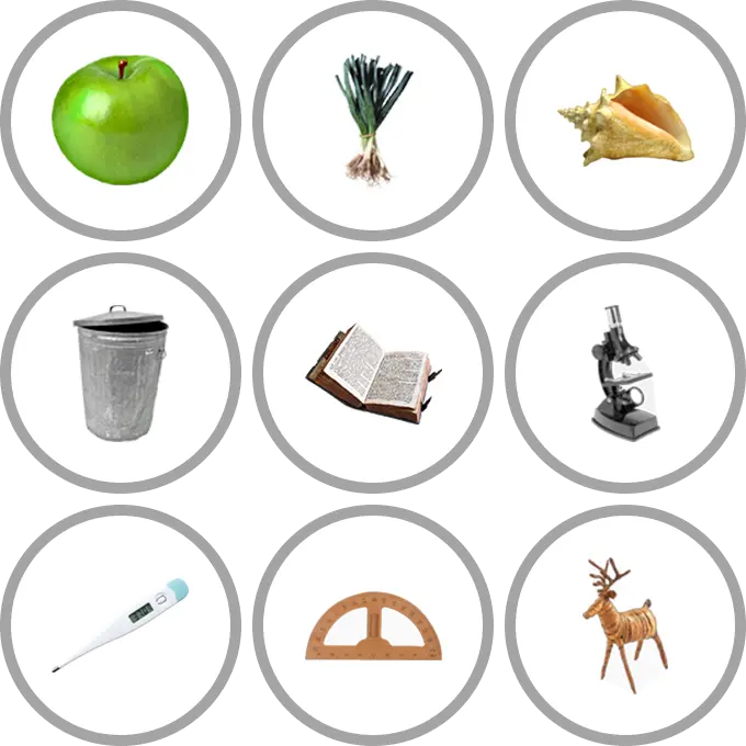 9 Little Pics Daily preview