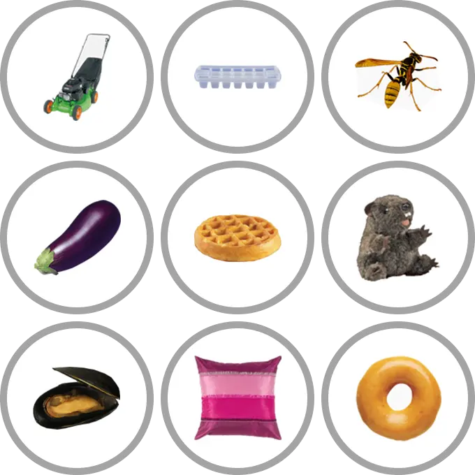 9 Little Pics Daily preview