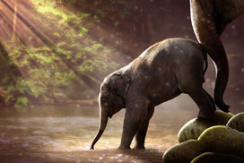 Daily Jigsaw: Animals icon