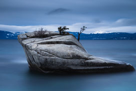 Daily Jigsaw: Nature icon