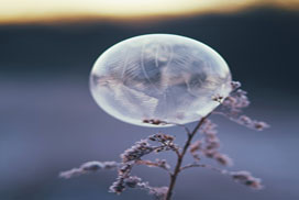 Daily QuickSaw: Nature icon