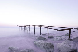 Daily Jigsaw: Nature icon