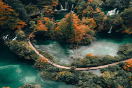 Daily Jigsaw: Nature icon