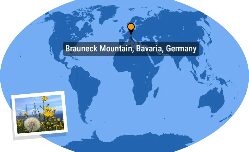 Daily Jigsaw: Travels preview