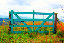 Daily Jigsaw - Play Online Game and Free Online Puzzle Game from