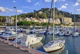 Daily Jigsaw Challenge icon