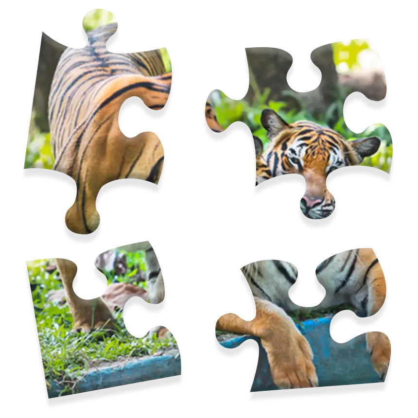 Daily Jigsaw preview