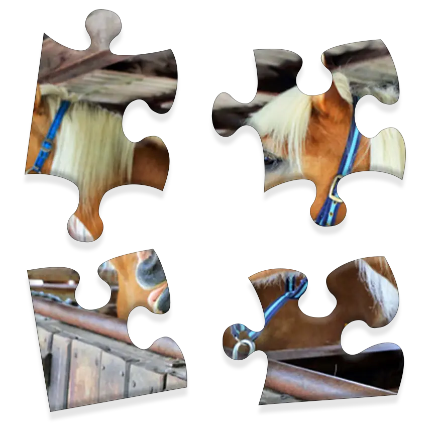 Daily Jigsaw preview