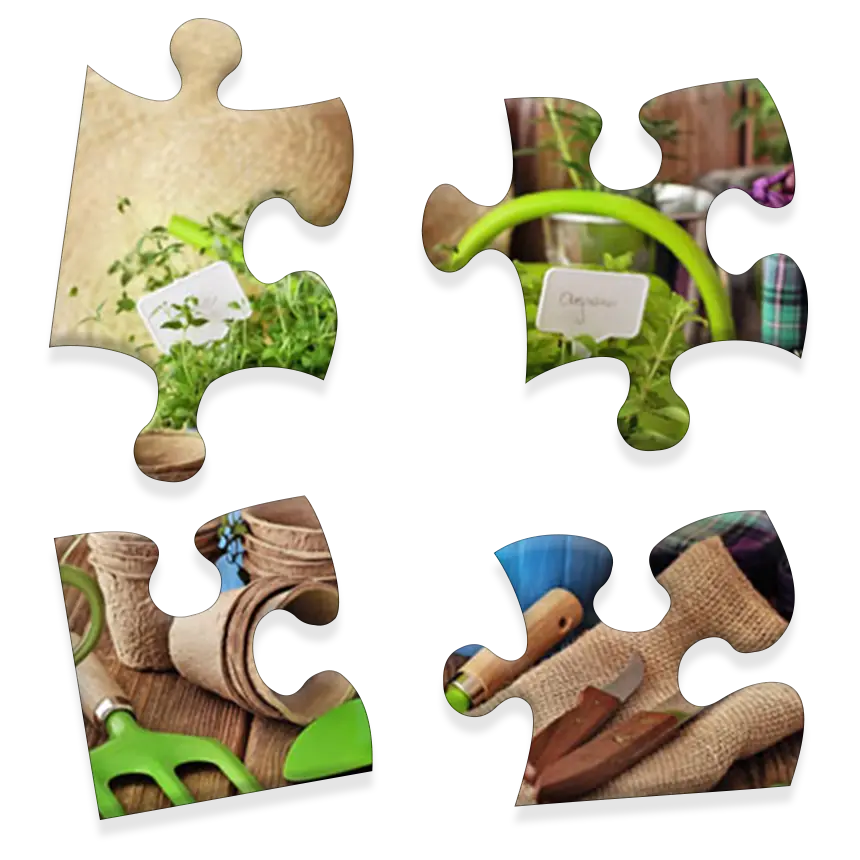 Daily Jigsaw preview