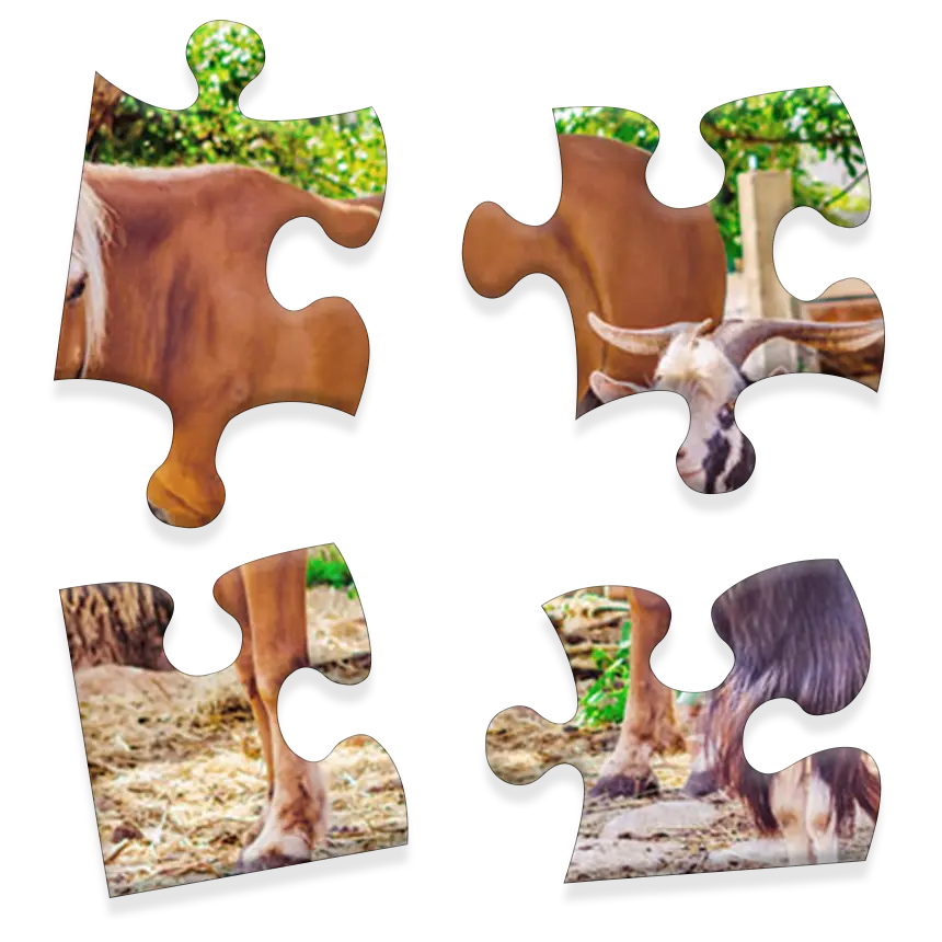 Daily Jigsaw preview