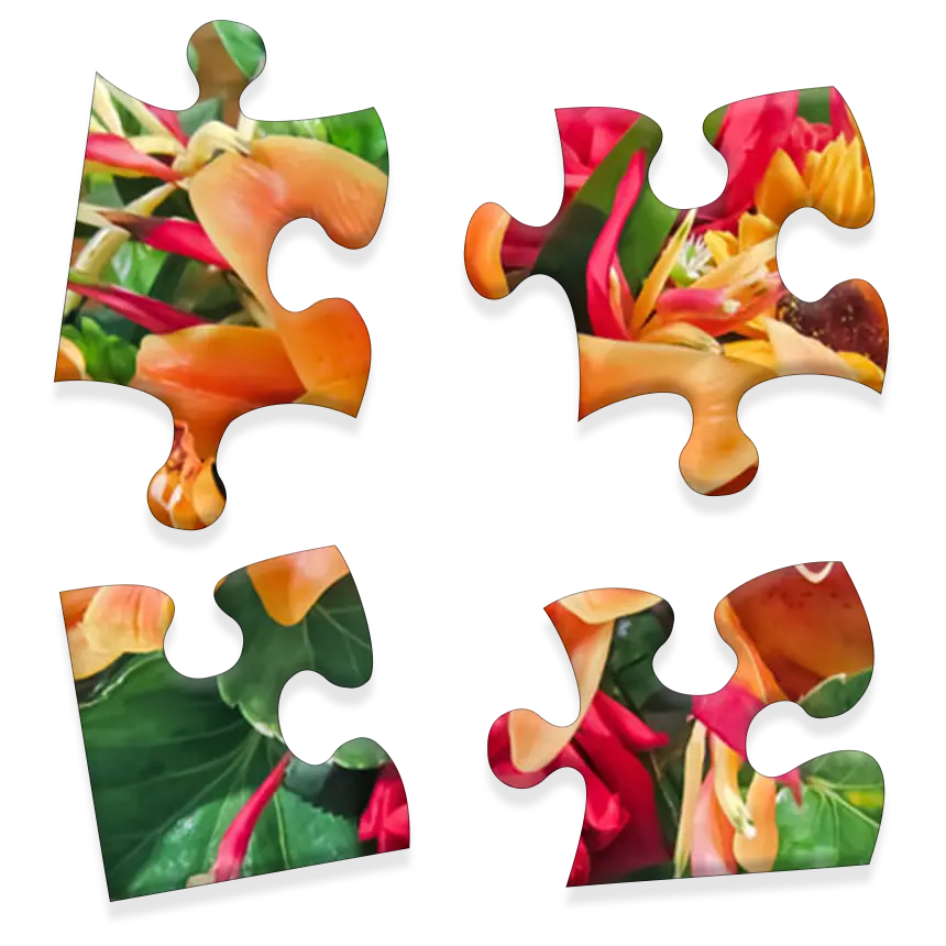Daily Jigsaw preview