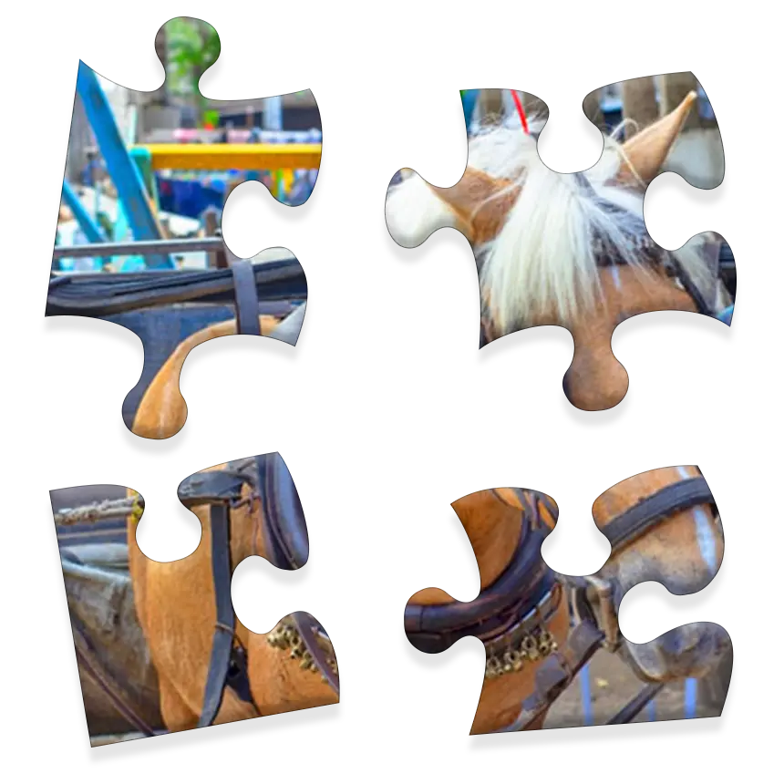 Daily Jigsaw preview