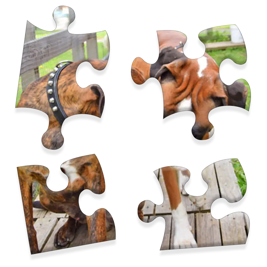 Daily Jigsaw preview