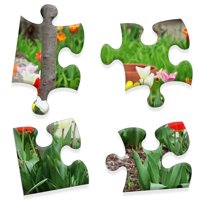 Daily Jigsaw preview