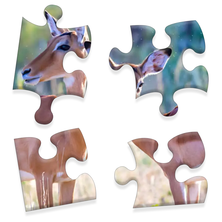 Daily Jigsaw preview