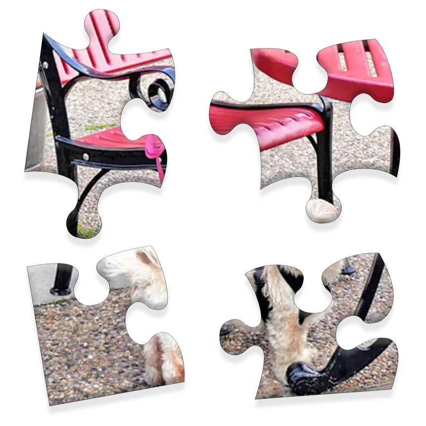Daily Jigsaw preview