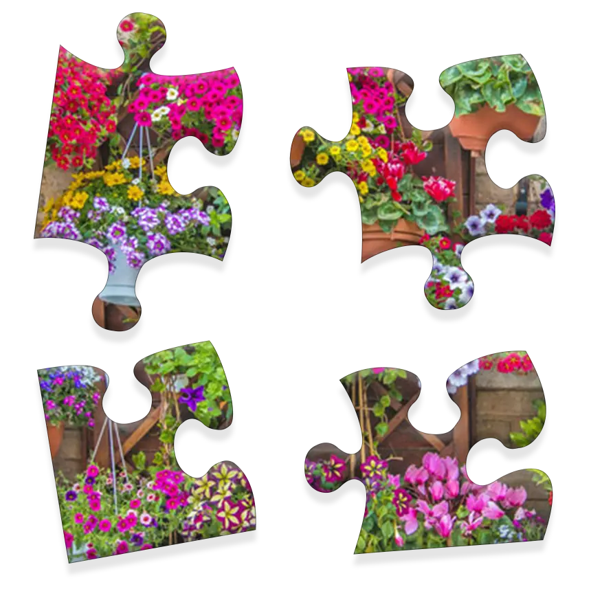 Daily Jigsaw preview