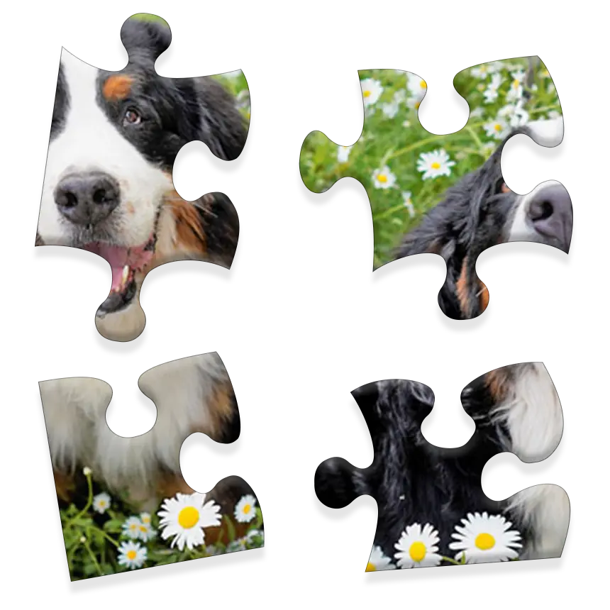 Daily Jigsaw preview
