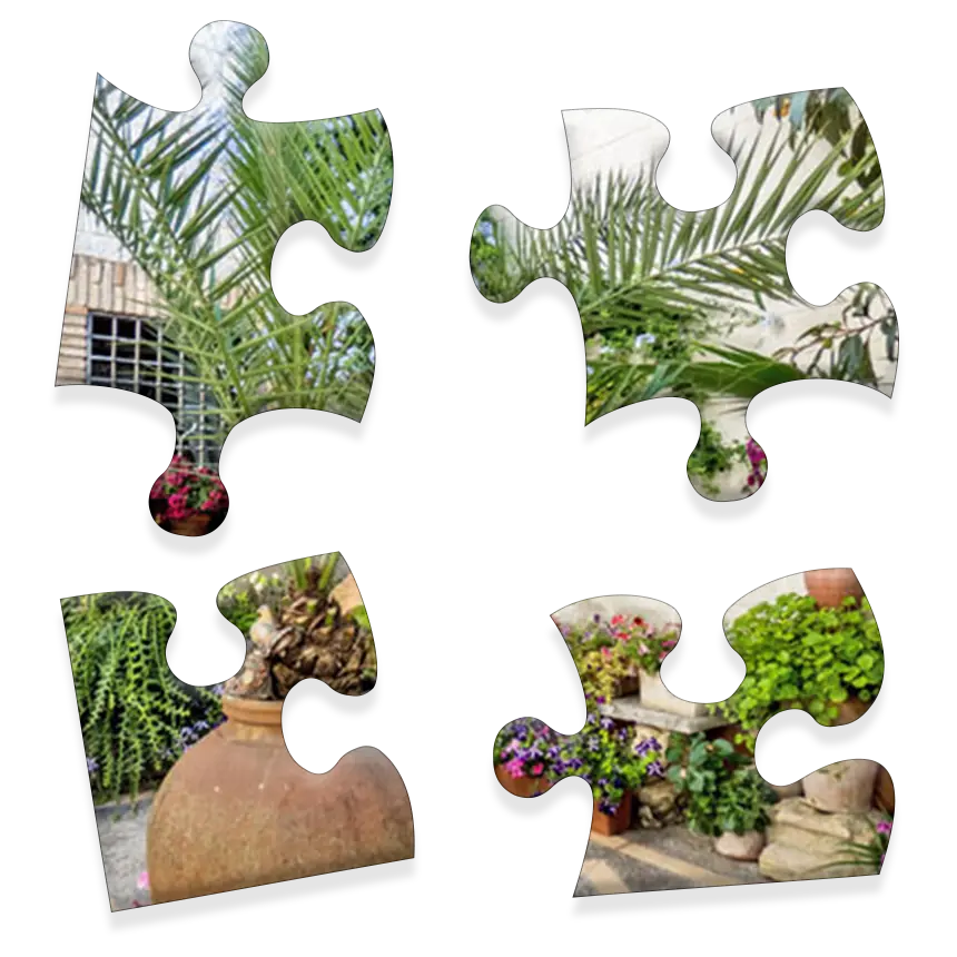 Daily Jigsaw preview