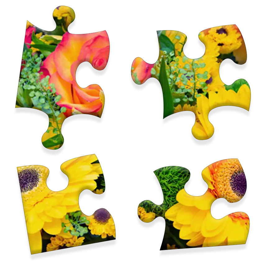 Daily Jigsaw preview
