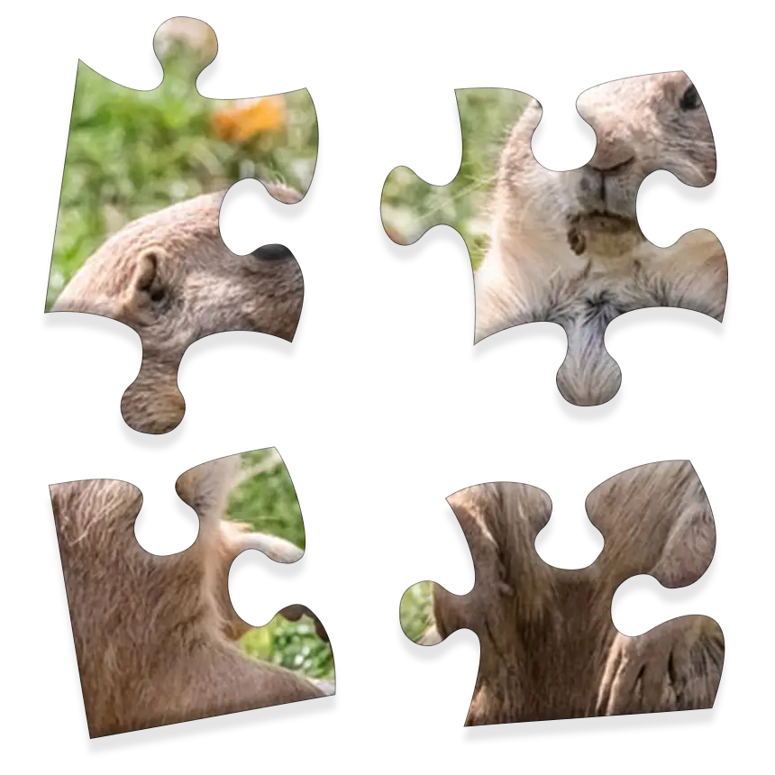Daily Jigsaw preview