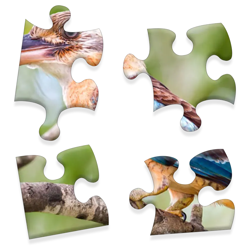 Daily Jigsaw preview