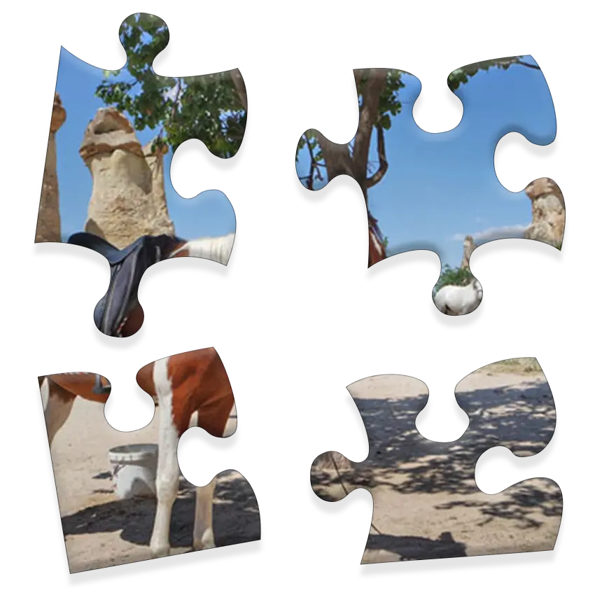 Daily Jigsaw preview