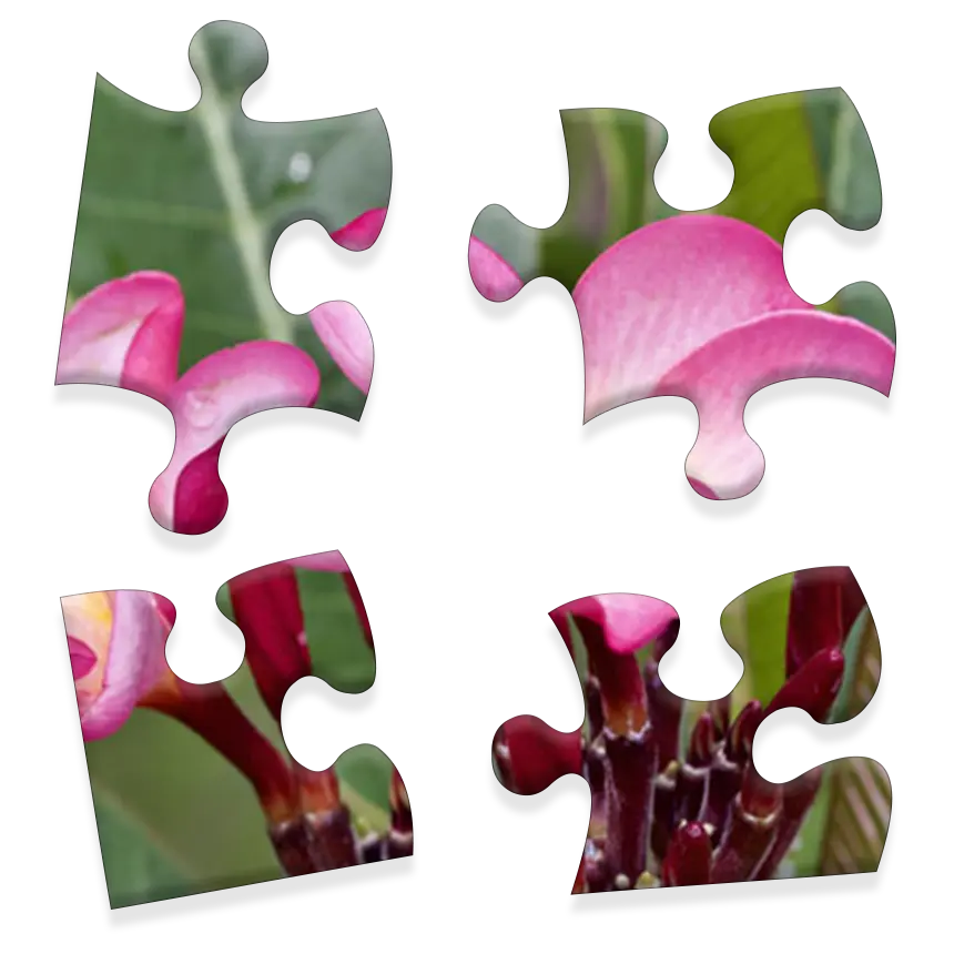 Daily Jigsaw preview