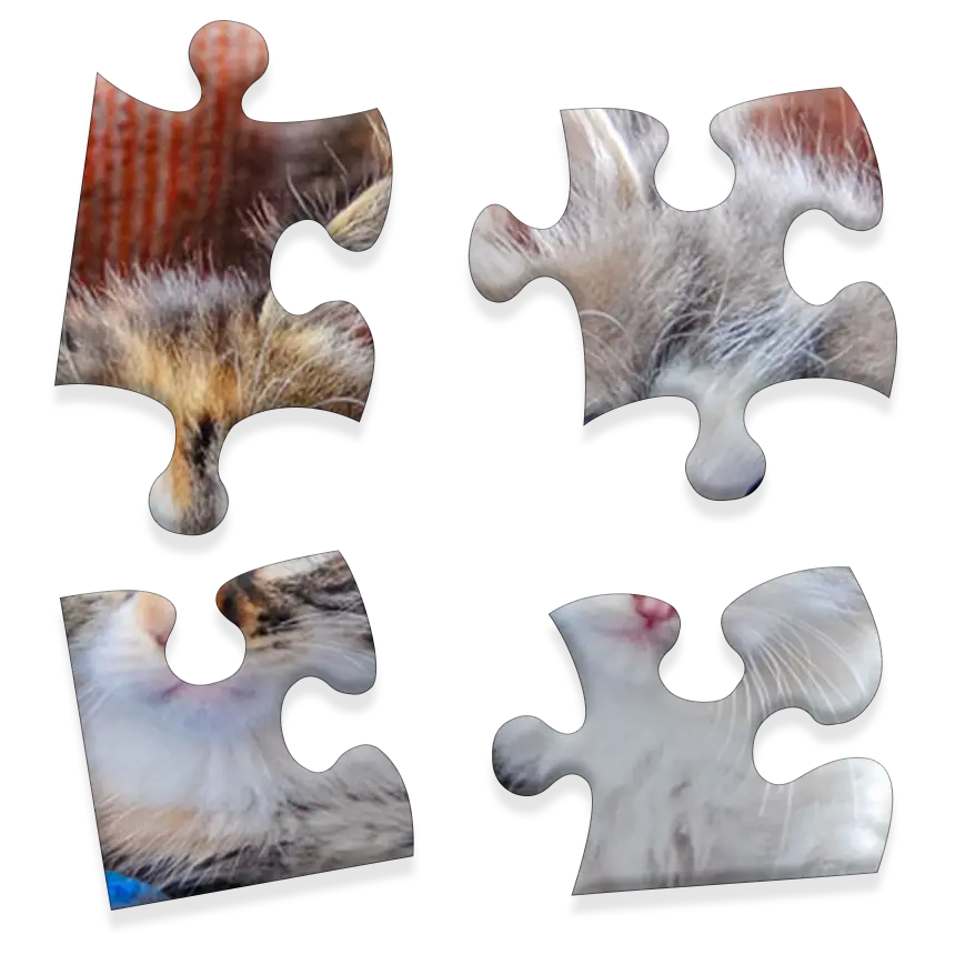 Daily Jigsaw preview