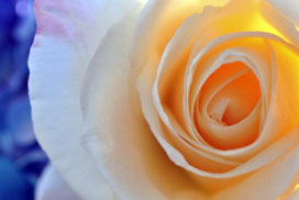 Daily QuickSaw Bonus icon