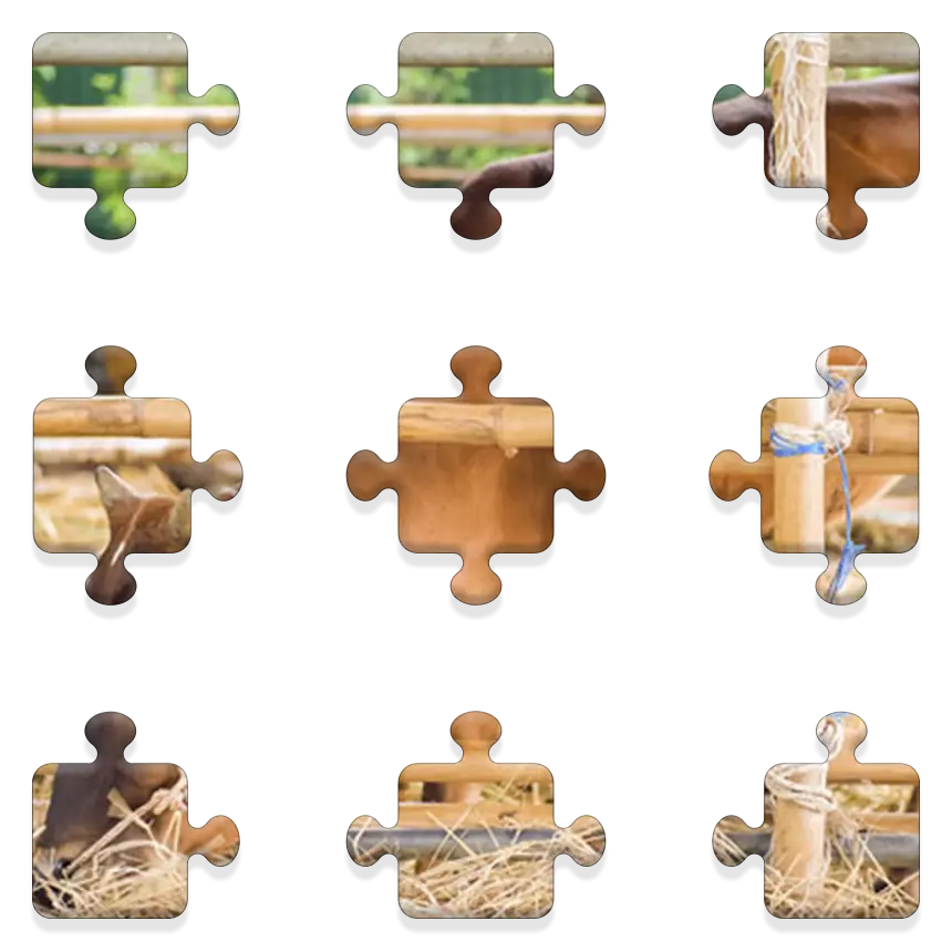 Daily QuickSaw preview