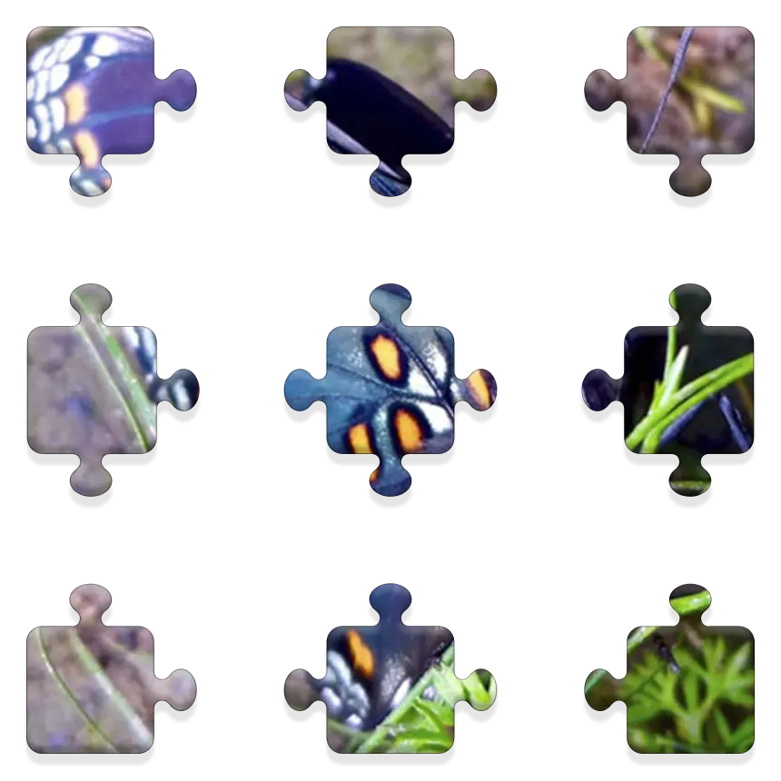 Daily QuickSaw preview