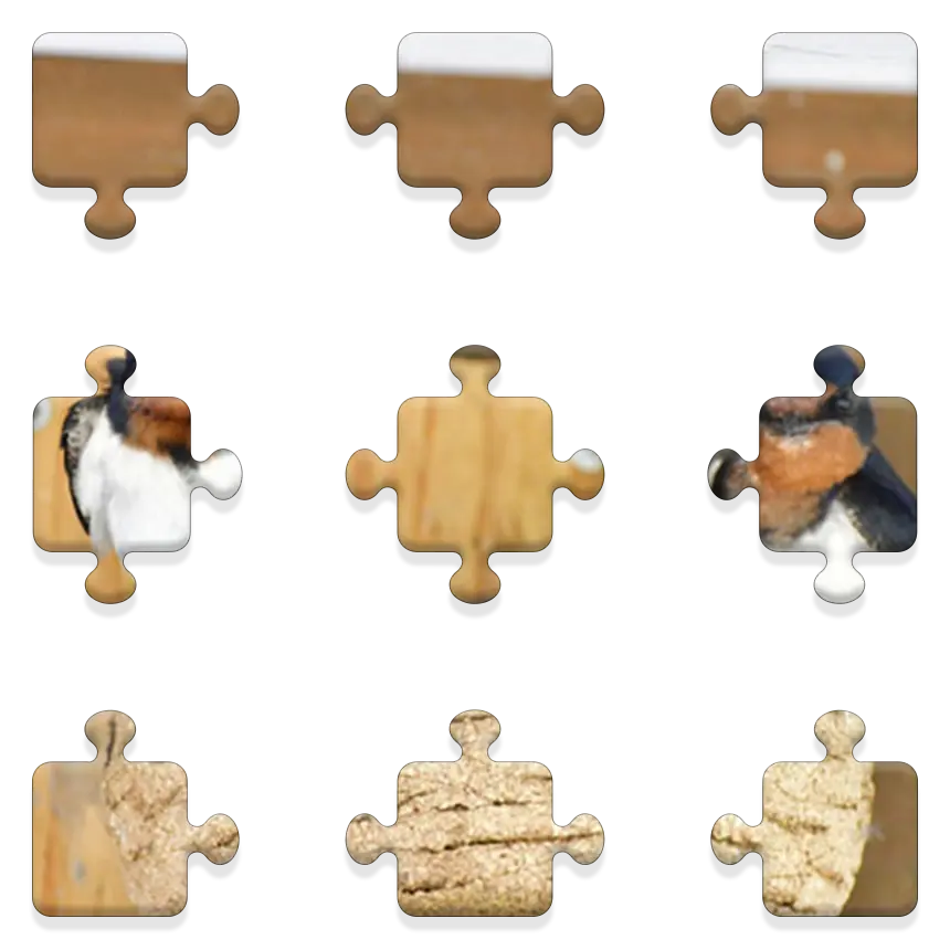 Daily QuickSaw preview