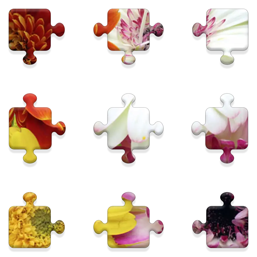 Daily QuickSaw preview