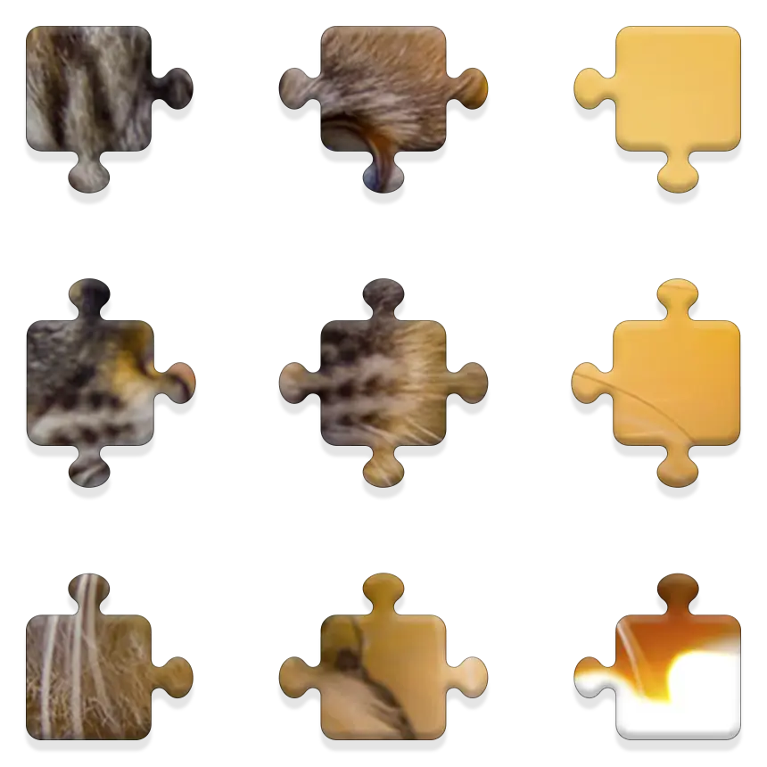 Daily QuickSaw preview
