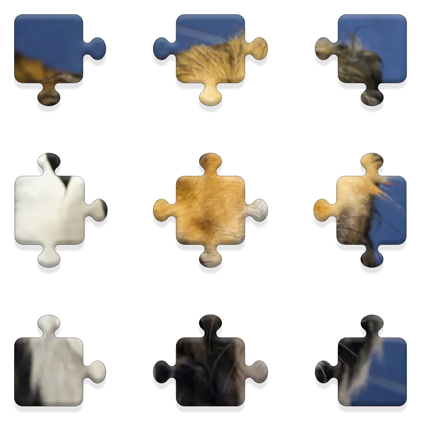 Daily QuickSaw preview