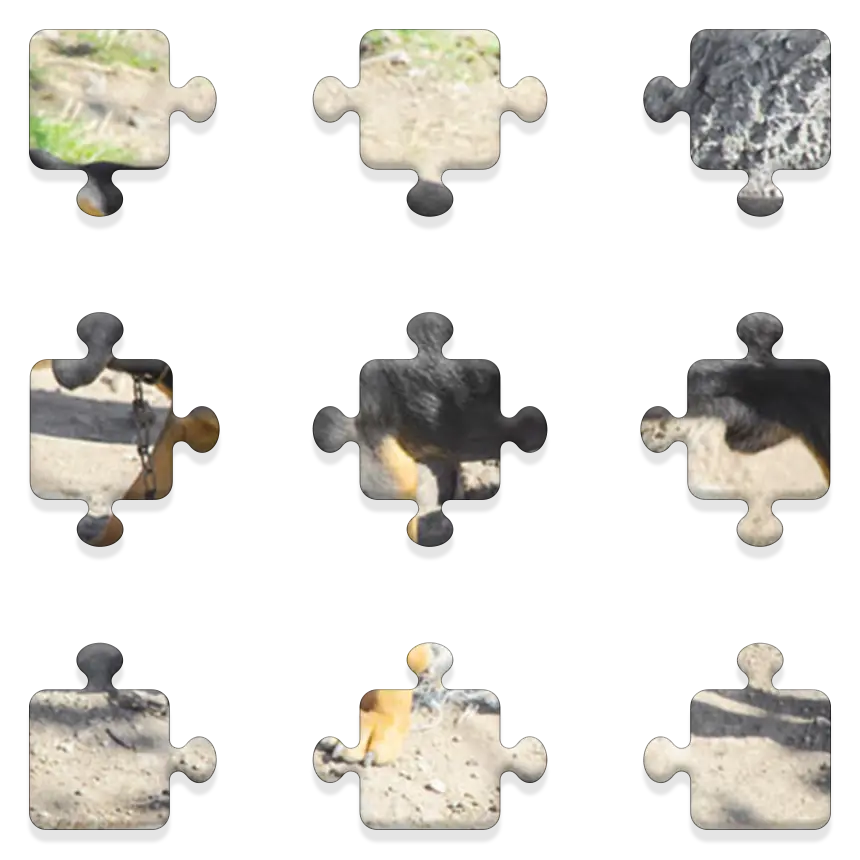 Daily QuickSaw preview