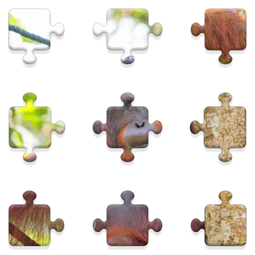 Daily QuickSaw preview