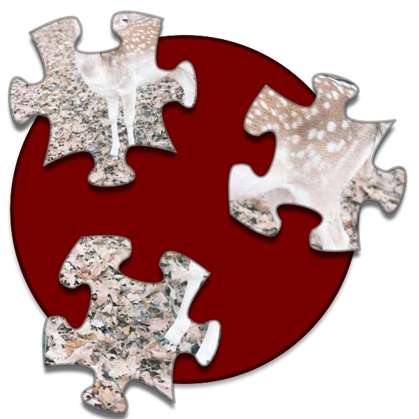 Shockwave Jigsaw preview