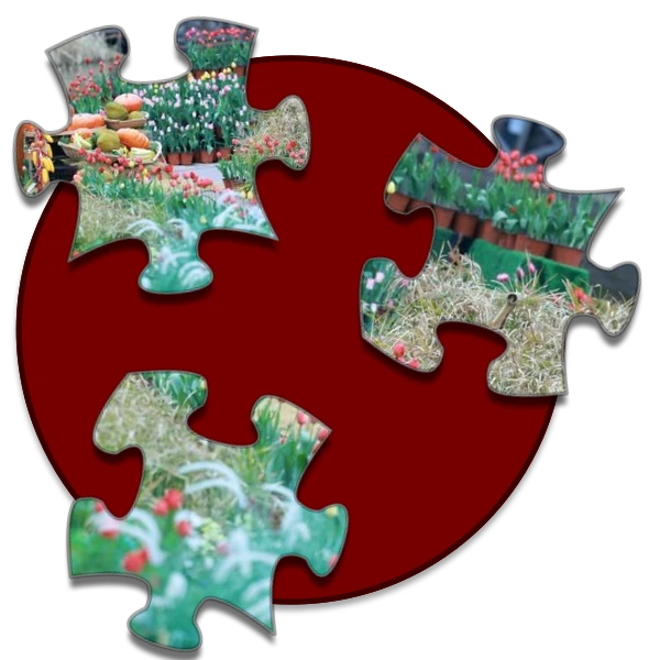 Shockwave Jigsaw preview