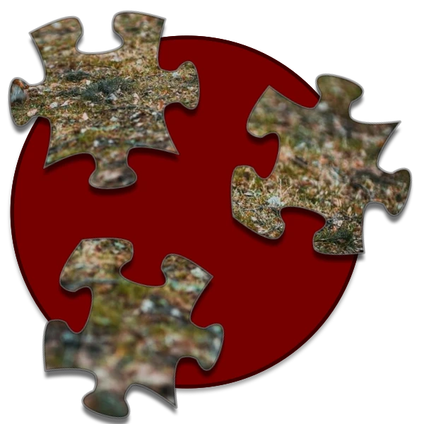Shockwave Jigsaw preview
