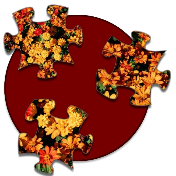 Shockwave Jigsaw preview
