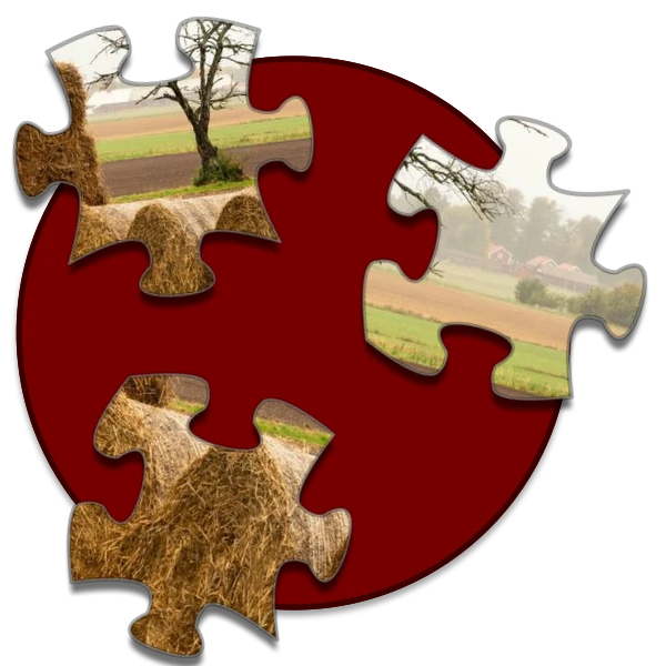 Shockwave Jigsaw preview