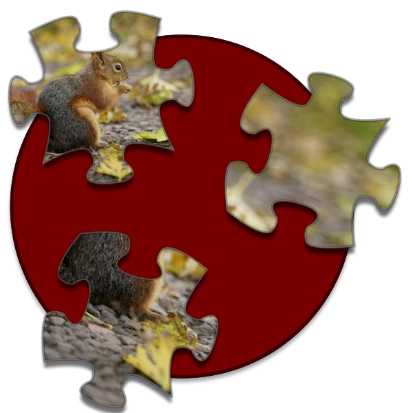 Shockwave Jigsaw preview