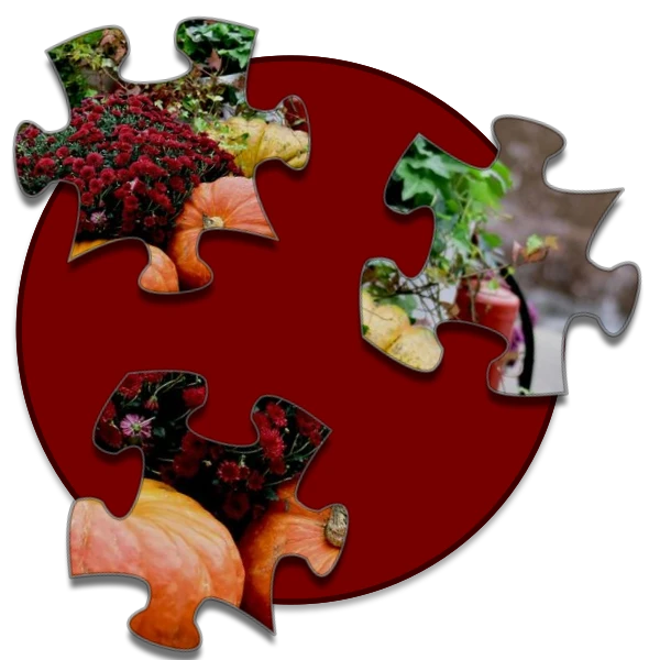 Shockwave Jigsaw preview