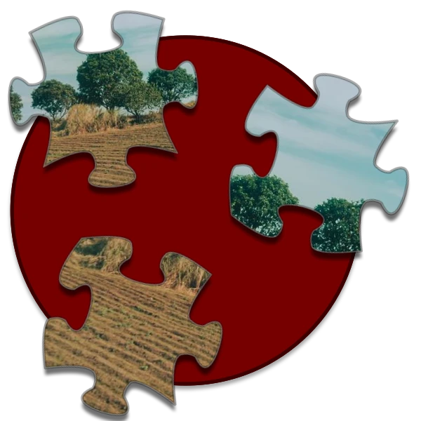 Shockwave Jigsaw preview