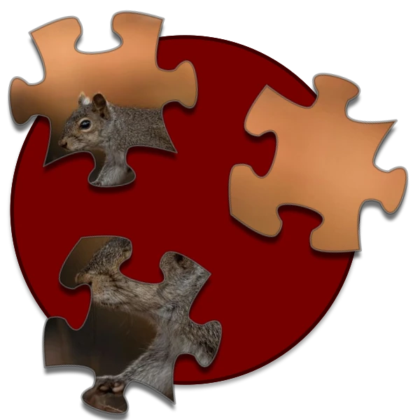 Shockwave Jigsaw preview