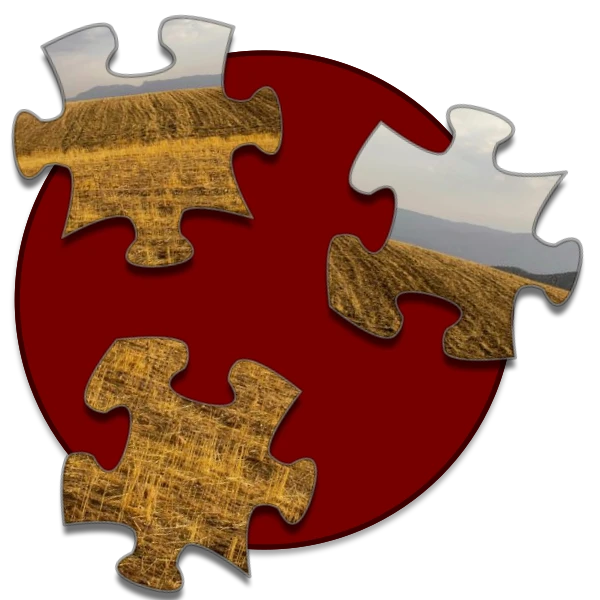 Shockwave Jigsaw preview