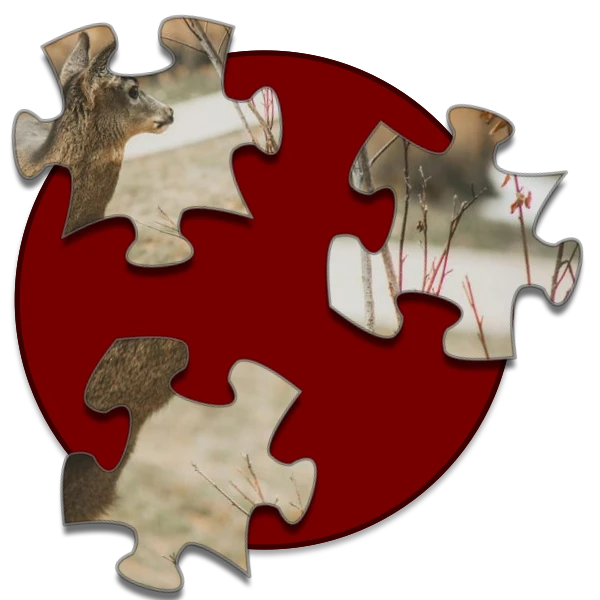 Shockwave Jigsaw preview