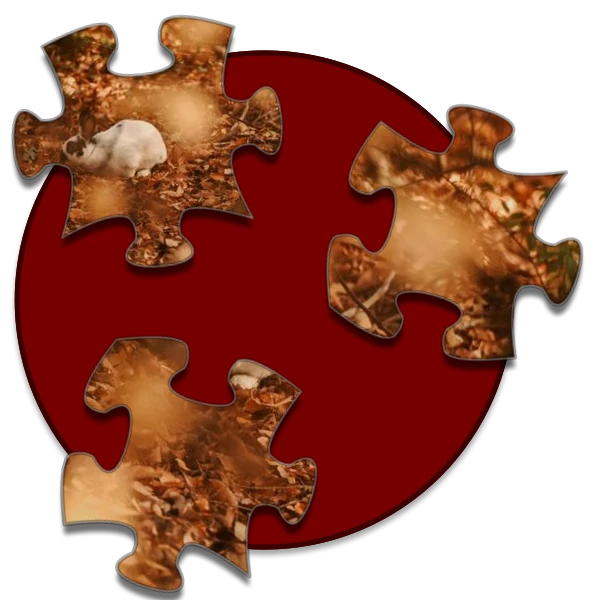 Shockwave Jigsaw preview